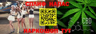 МДПВ Будённовск
